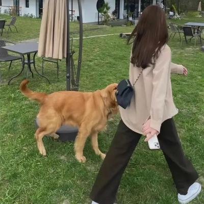 芝加哥警署第十一季